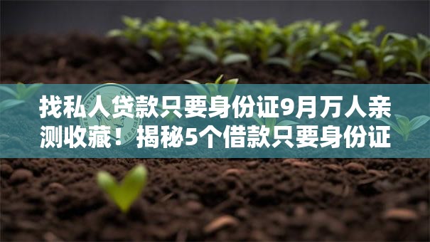 找私人贷款只要身份证9月万人亲测收藏！揭秘5个借款只要身份证网贷平台