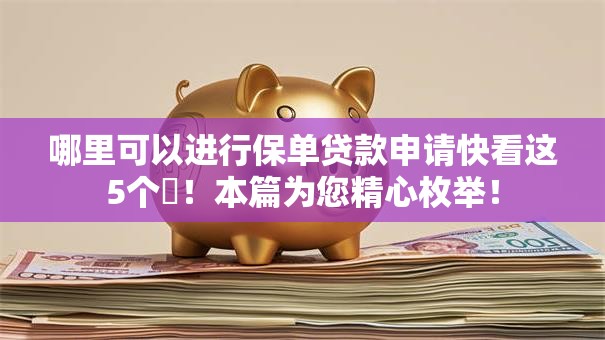 哪里可以进行保单贷款申请快看这5个!本篇为您精心枚举! 哪里可以进行保单贷款申请快看这5个!本篇为您精心枚举!