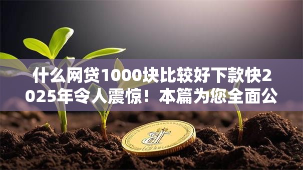 什么网贷1000块比较好下款快2025年令人震惊!本篇为您全面公布! 什么网贷1000块比较好下款快2025年令人震惊!本篇为您全面公布!