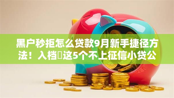 黑户秒拒怎么贷款9月新手捷径方法!入档这5个不上征信小贷公司排名 黑户秒拒怎么贷款9月新手捷径方法!入档这5个不上征信小贷公司排名