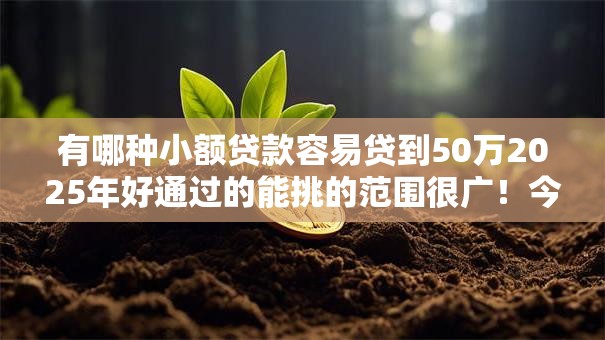 有哪种小额贷款容易贷到50万2025年好通过的能挑的范围很广！今天为您细致汇聚​这五个借钱平台！