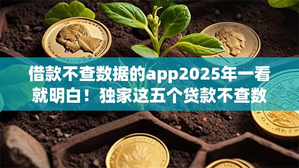 借款不查数据的app2025年一看就明白！独家这五个贷款不查数据的平台