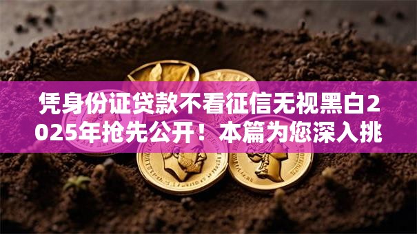 凭身份证贷款不看征信无视黑白2025年抢先公开！本篇为您深入挑选！