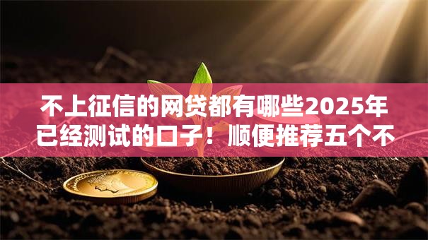 不上征信的网贷都有哪些2025年已经测试的口子！顺便推荐五个不上征信的借款平台都有哪些