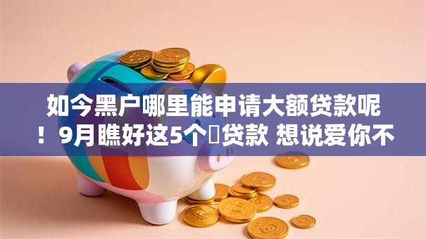 如今黑户哪里能申请大额贷款呢！9月瞧好这5个​贷款 想说爱你不容易