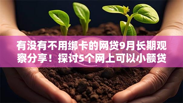 有没有不用绑卡的网贷9月长期观察分享!探讨5个网上可以小额贷款的平台 有没有不用绑卡的网贷9月长期观察分享!探讨5个网上可以小额贷款的平台