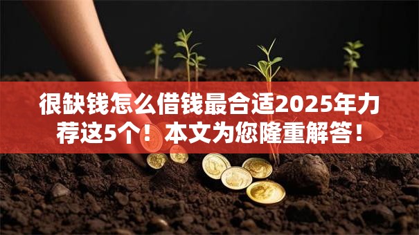 很缺钱怎么借钱最合适2025年力荐这5个！本文为您隆重解答！