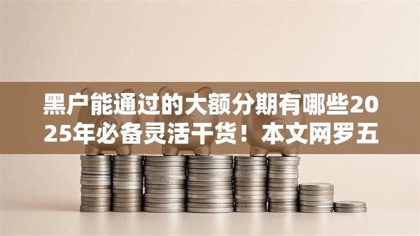 黑户能通过的大额分期有哪些2025年必备灵活干货!本文网罗五个网贷口子能让黑户贷款大额分期 黑户能通过的大额分期有哪些2025年必备灵活干货!本文网罗五个网贷口子能让黑户贷款大额分期