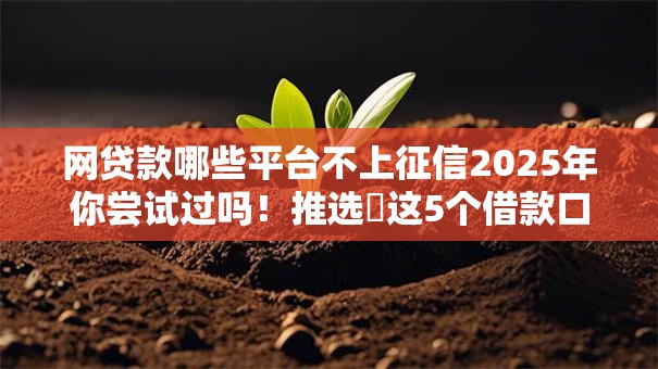 网贷款哪些平台不上征信2025年你尝试过吗!推选这5个借款口子有些不接征信 网贷款哪些平台不上征信2025年你尝试过吗!推选这5个借款口子有些不接征信