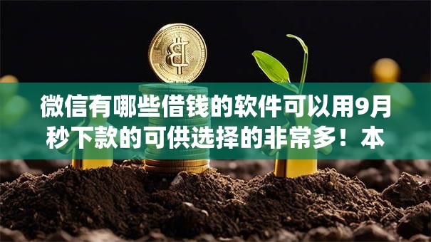 微信有哪些借钱的软件可以用9月秒下款的可供选择的非常多！本篇为您深度叙述这五个借钱app！
