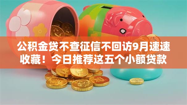 公积金贷不查征信不回访9月速速收藏！今日推荐这五个小额贷款不看征信2025款
