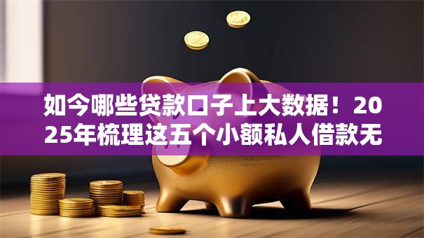 如今哪些贷款口子上大数据!2025年梳理这五个小额私人借款无前期费用 如今哪些贷款口子上大数据!2025年梳理这五个小额私人借款无前期费用