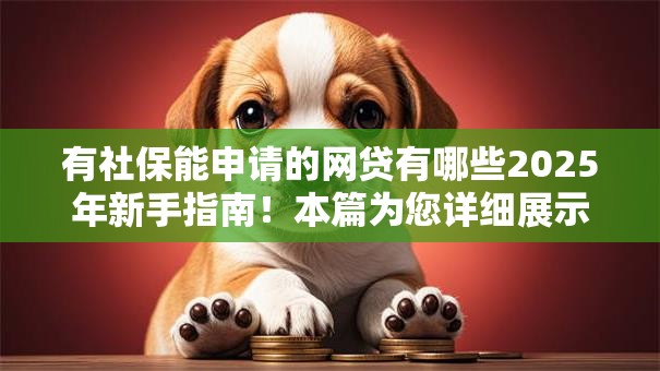 有社保能申请的网贷有哪些2025年新手指南！本篇为您详细展示！