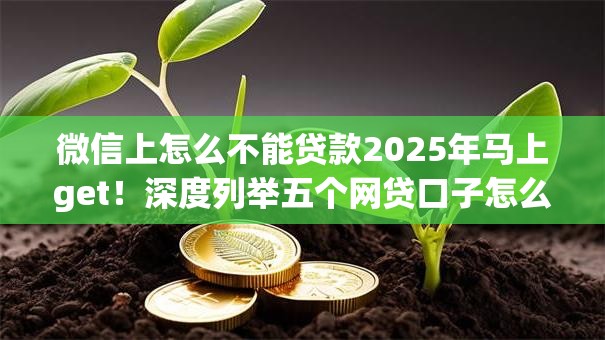 微信上怎么不能贷款2025年马上get!深度列举五个网贷口子怎么不能借钱 微信上怎么不能贷款2025年马上get!深度列举五个网贷口子怎么不能借钱