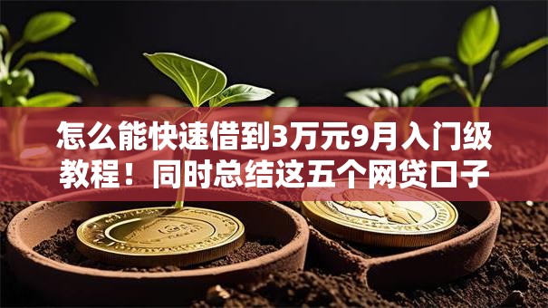怎么能快速借到3万元9月入门级教程！同时总结这五个网贷口子快速借钱三万元