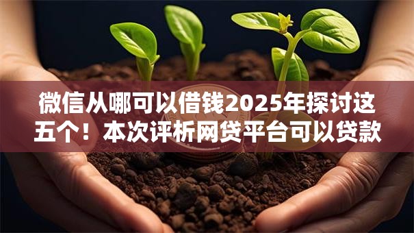 微信从哪可以借钱2025年探讨这五个！本次评析网贷平台可以贷款