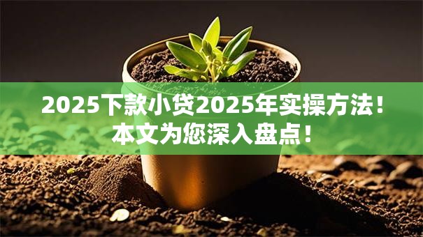 2025下款小贷2025年实操方法!本文为您深入盘点! 2025下款小贷2025年实操方法!本文为您深入盘点!