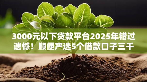3000元以下贷款平台2025年错过遗憾!顺便严选5个借款口子三千元以下软件 3000元以下贷款平台2025年错过遗憾!顺便严选5个借款口子三千元以下软件