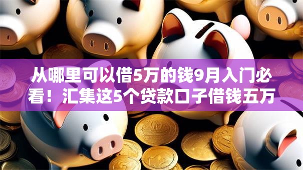 从哪里可以借5万的钱9月入门必看!汇集这5个贷款口子借钱五万 从哪里可以借5万的钱9月入门必看!汇集这5个贷款口子借钱五万