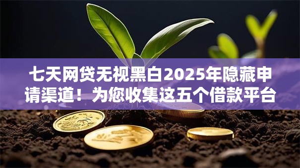 七天网贷无视黑白2025年隐藏申请渠道!为您收集这五个借款平台无视黑白七天到账 七天网贷无视黑白2025年隐藏申请渠道!为您收集这五个借款平台无视黑白七天到账
