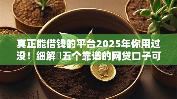 真正能借钱的平台2025年你用过没!细解五个靠谱的网贷口子可以贷款 真正能借钱的平台2025年你用过没!细解五个靠谱的网贷口子可以贷款