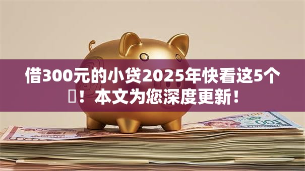 借300元的小贷2025年快看这5个​！本文为您深度更新！