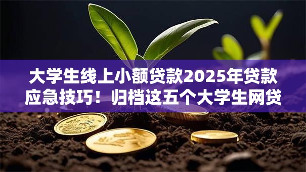 大学生线上小额贷款2025年贷款应急技巧!归档这五个大学生网贷平台借钱渠道 大学生线上小额贷款2025年贷款应急技巧!归档这五个大学生网贷平台借钱渠道