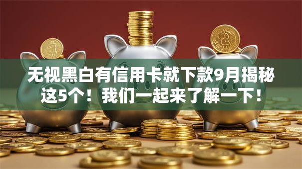 无视黑白有信用卡就下款9月揭秘这5个!我们一起来了解一下! 无视黑白有信用卡就下款9月揭秘这5个!我们一起来了解一下!