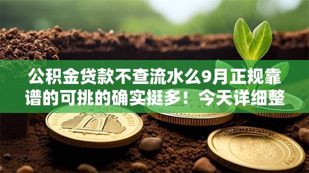 公积金贷款不查流水么9月正规靠谱的可挑的确实挺多!今天详细整合这5个黑户借钱软件! 公积金贷款不查流水么9月正规靠谱的可挑的确实挺多!今天详细整合这5个黑户借钱软件!