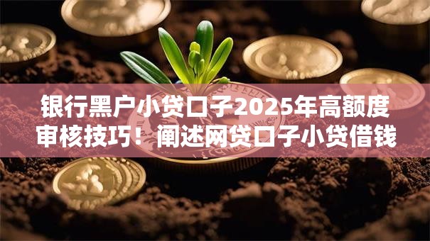 银行黑户小贷口子2025年高额度审核技巧！阐述网贷口子小贷借钱平台黑户