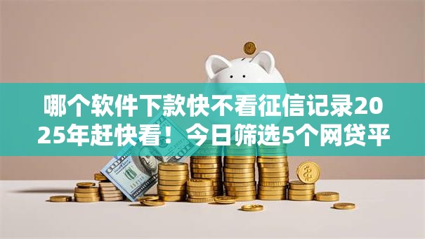 哪个软件下款快不看征信记录2025年赶快看！今日筛选5个网贷平台借钱快不看征信记录