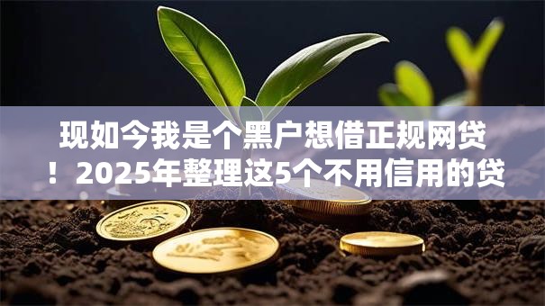 现如今我是个黑户想借正规网贷!2025年整理这5个不用信用的贷款平台 现如今我是个黑户想借正规网贷!2025年整理这5个不用信用的贷款平台