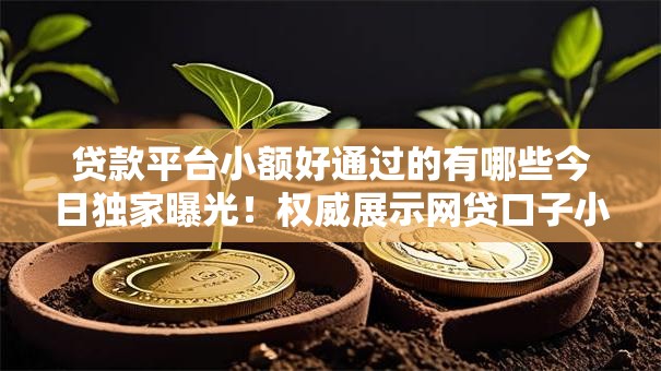 贷款平台小额好通过的有哪些今日独家曝光！权威展示网贷口子小额借钱容易通过的