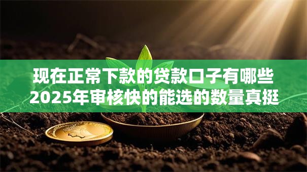 现在正常下款的贷款口子有哪些2025年审核快的能选的数量真挺多!本文深入聚焦这五个借款口子! 现在正常下款的贷款口子有哪些2025年审核快的能选的数量真挺多!本文深入聚焦这五个借款口子!