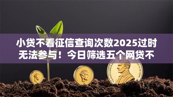 小贷不看征信查询次数2025过时无法参与!今日筛选五个网贷不看借钱查询次数平台 小贷不看征信查询次数2025过时无法参与!今日筛选五个网贷不看借钱查询次数平台