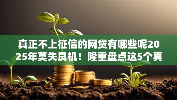 真正不上征信的网贷有哪些呢2025年莫失良机!隆重盘点这5个真正不上征信的借款口子 真正不上征信的网贷有哪些呢2025年莫失良机!隆重盘点这5个真正不上征信的借款口子