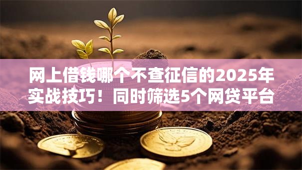 网上借钱哪个不查征信的2025年实战技巧！同时筛选5个网贷平台借钱都不查征信