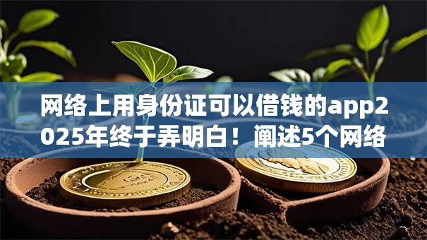 网络上用身份证可以借钱的app2025年终于弄明白!阐述5个网络贷款身份证软件可借款 网络上用身份证可以借钱的app2025年终于弄明白!阐述5个网络贷款身份证软件可借款