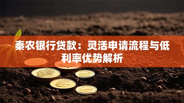 秦农银行贷款：灵活申请流程与低利率优势解析