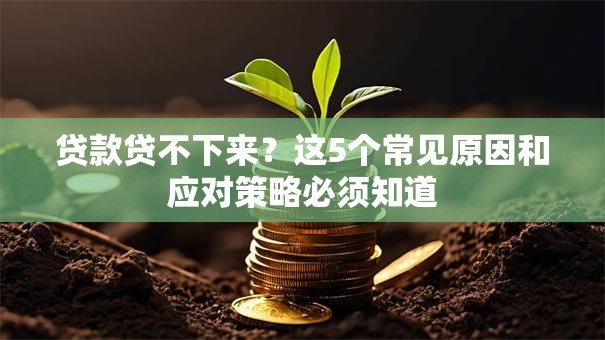 贷款贷不下来？这5个常见原因和应对策略必须知道