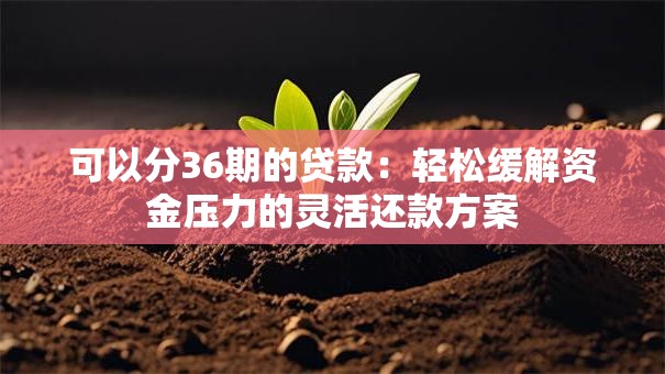 可以分36期的贷款：轻松缓解资金压力的灵活还款方案