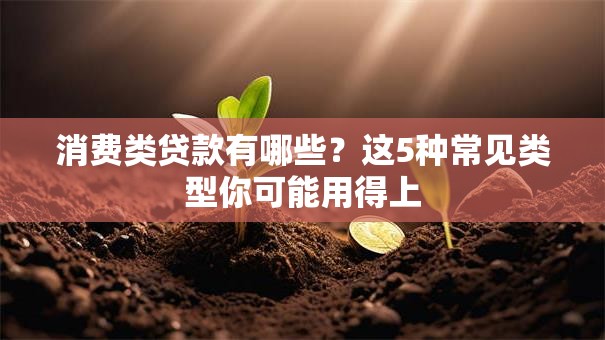 消费类贷款有哪些？这5种常见类型你可能用得上