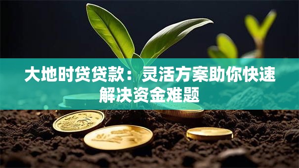 大地时贷贷款：灵活方案助你快速解决资金难题