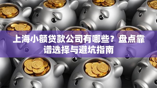 上海小额贷款公司有哪些？盘点靠谱选择与避坑指南
