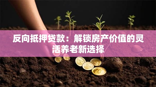 反向抵押贷款:解锁房产价值的灵活养老新选择 反向抵押贷款:解锁房产价值的灵活养老新选择