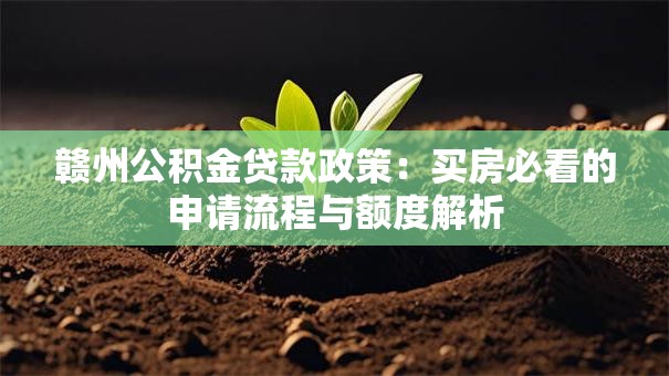 赣州公积金贷款政策:买房必看的申请流程与额度解析 赣州公积金贷款政策:买房必看的申请流程与额度解析