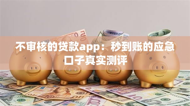 不审核的贷款app：秒到账的应急口子真实测评