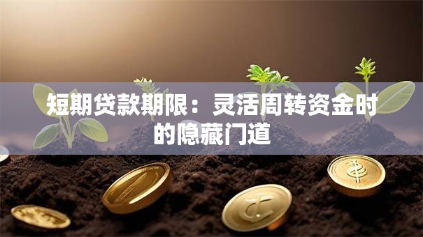 短期贷款期限:灵活周转资金时的隐藏门道 短期贷款期限:灵活周转资金时的隐藏门道