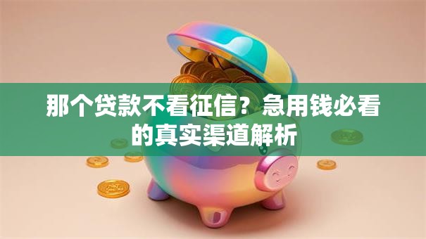 那个贷款不看征信？急用钱必看的真实渠道解析