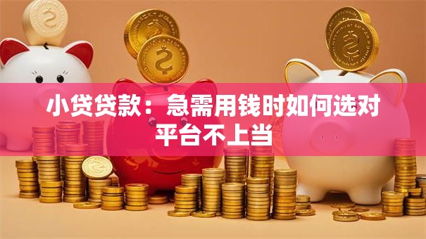 小贷贷款:急需用钱时如何选对平台不上当 小贷贷款:急需用钱时如何选对平台不上当
